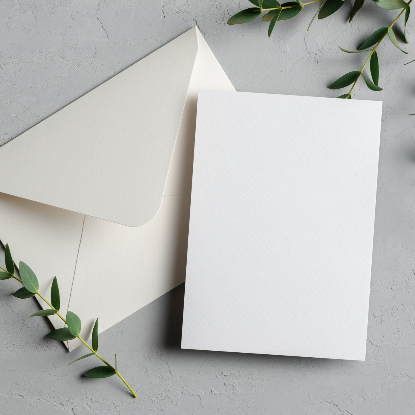 Greeting Card