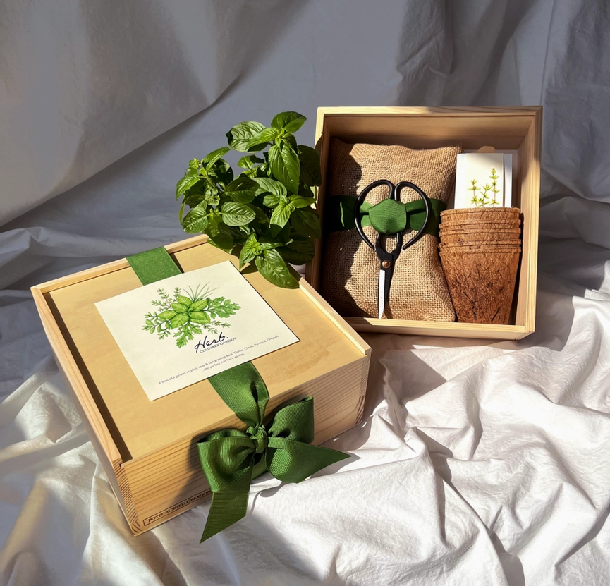 Culinary Herb Garden Box