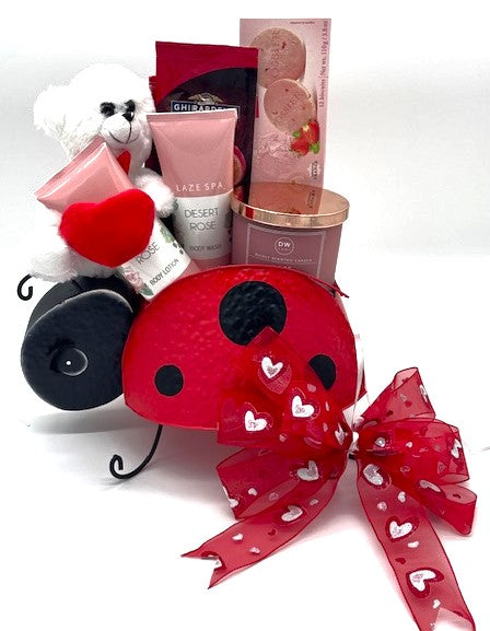 Lady Bug Gift